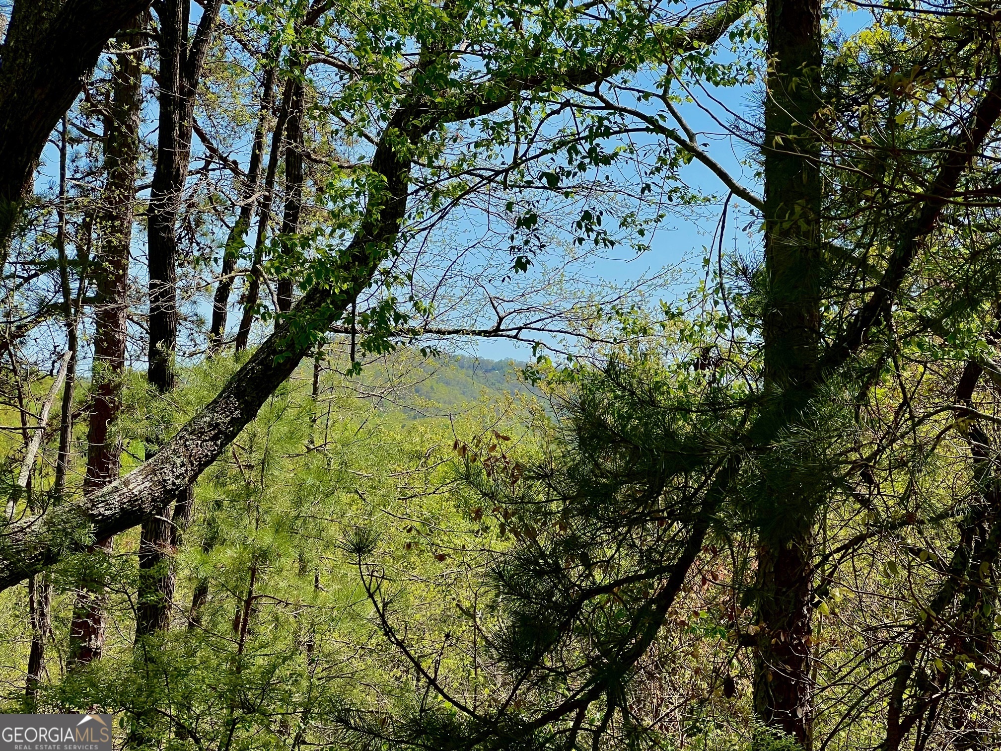 691 Railey Ridge Ranger, GA 30734 - Photo 2 of 27