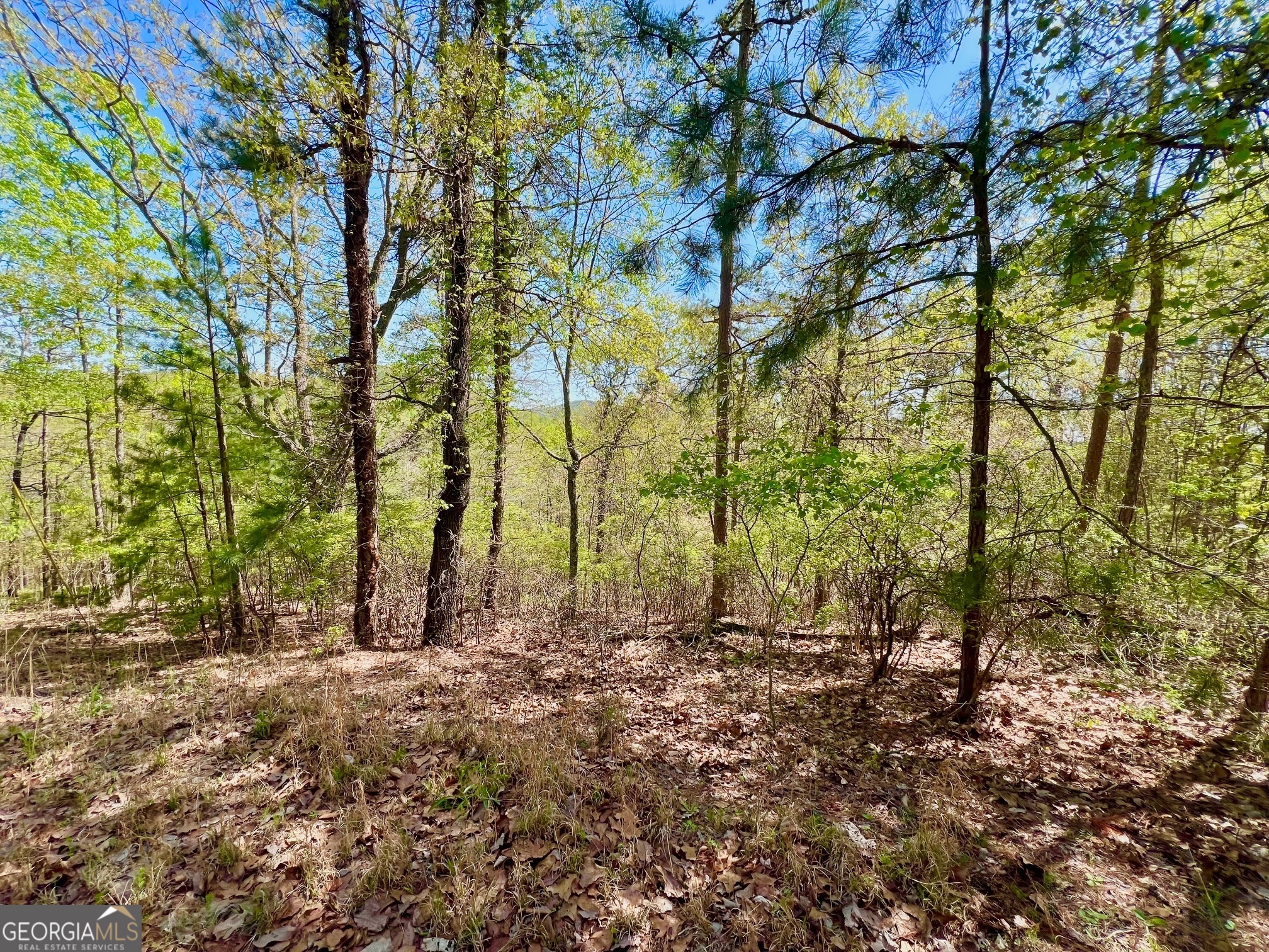 691 Railey Ridge Ranger, GA 30734 - Photo 21 of 27