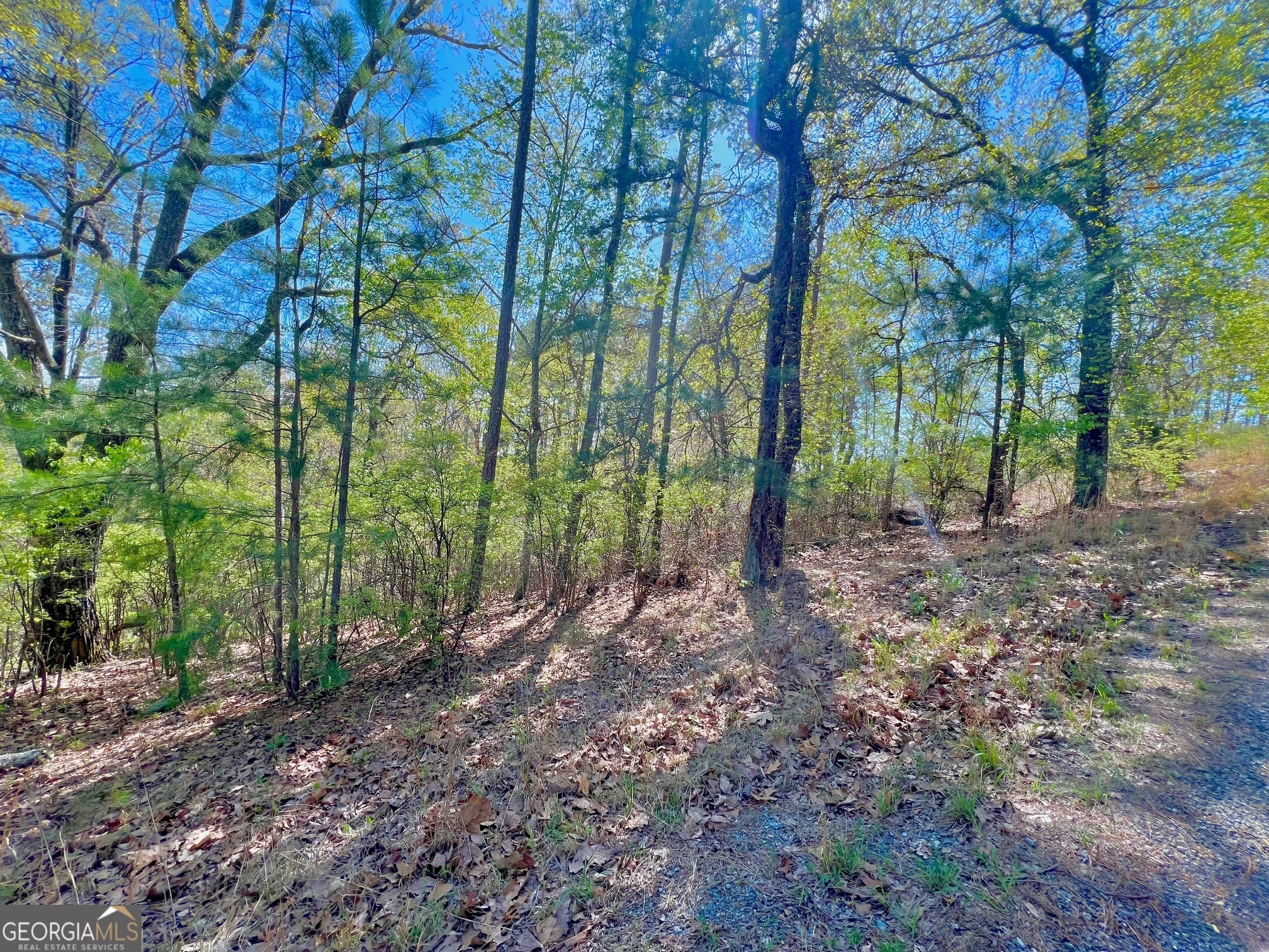 691 Railey Ridge Ranger, GA 30734 - Photo 22 of 27