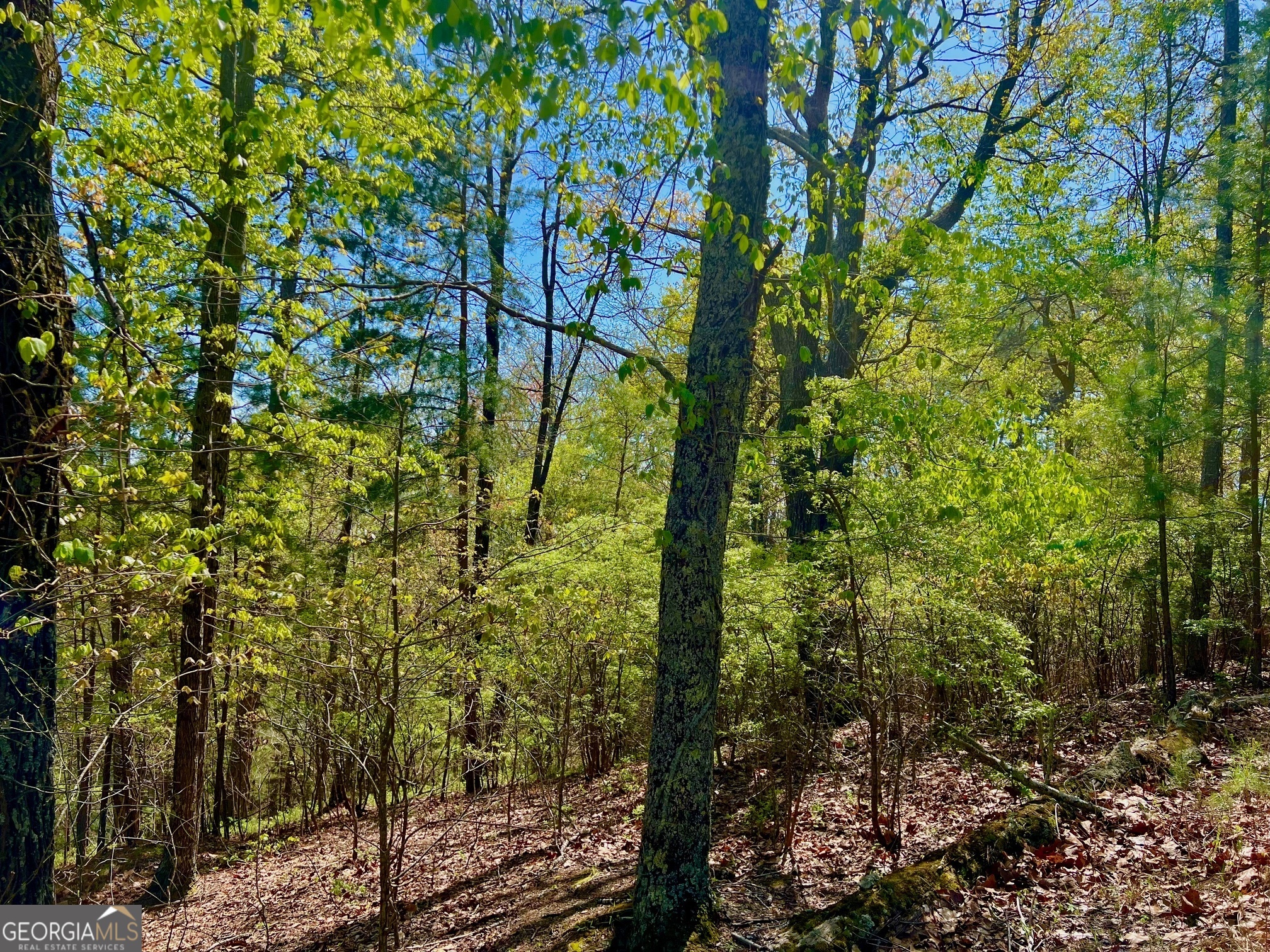 691 Railey Ridge Ranger, GA 30734 - Photo 23 of 27