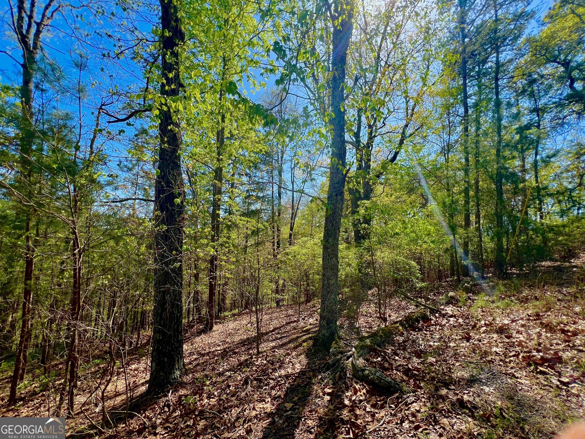 691 Railey Ridge Ranger, GA 30734 - Photo 24 of 27