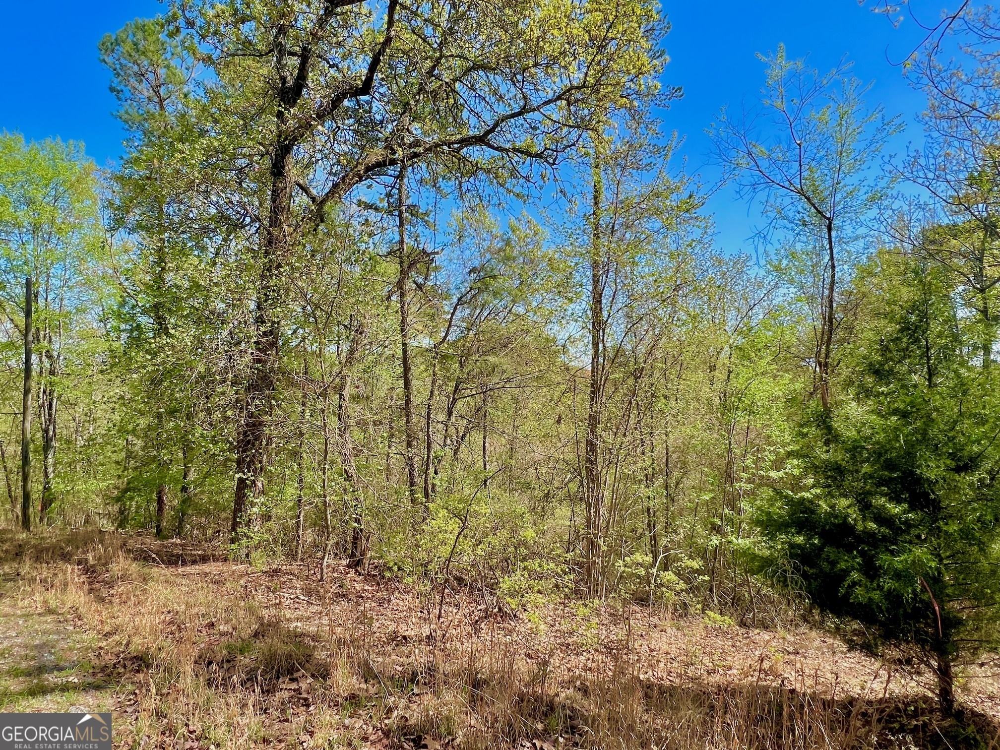 691 Railey Ridge Ranger, GA 30734 - Photo 25 of 27