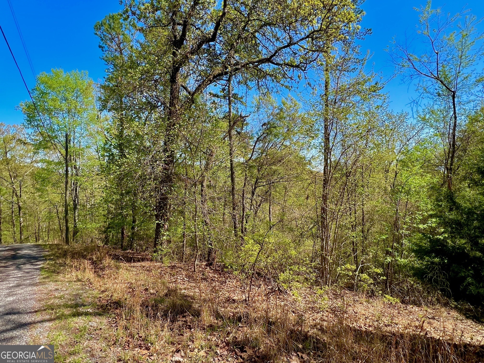 691 Railey Ridge Ranger, GA 30734 - Photo 26 of 27