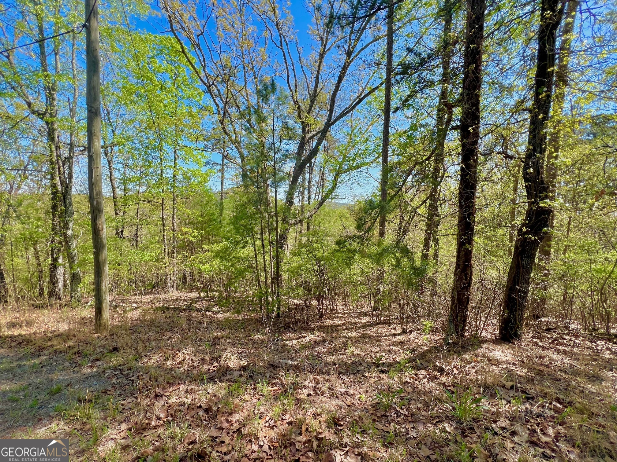 691 Railey Ridge Ranger, GA 30734 - Photo 3 of 27