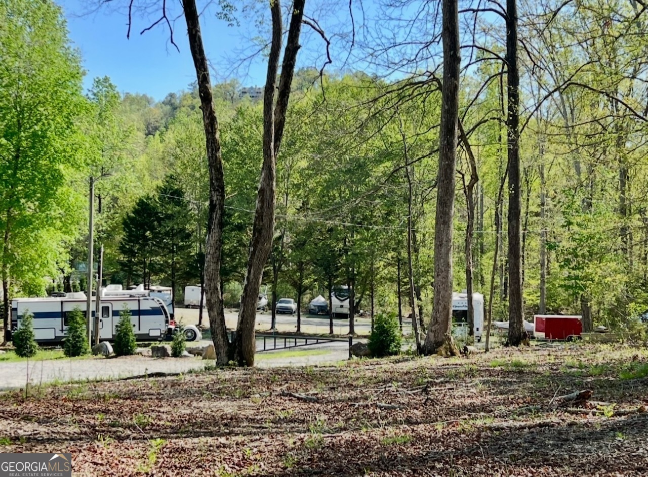 691 Railey Ridge Ranger, GA 30734 - Photo 9 of 27