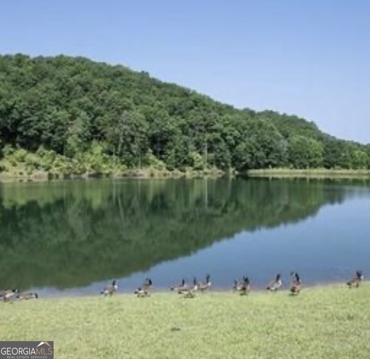 691 Railey Ridge Ranger, GA 30734 - Photo 10 of 27