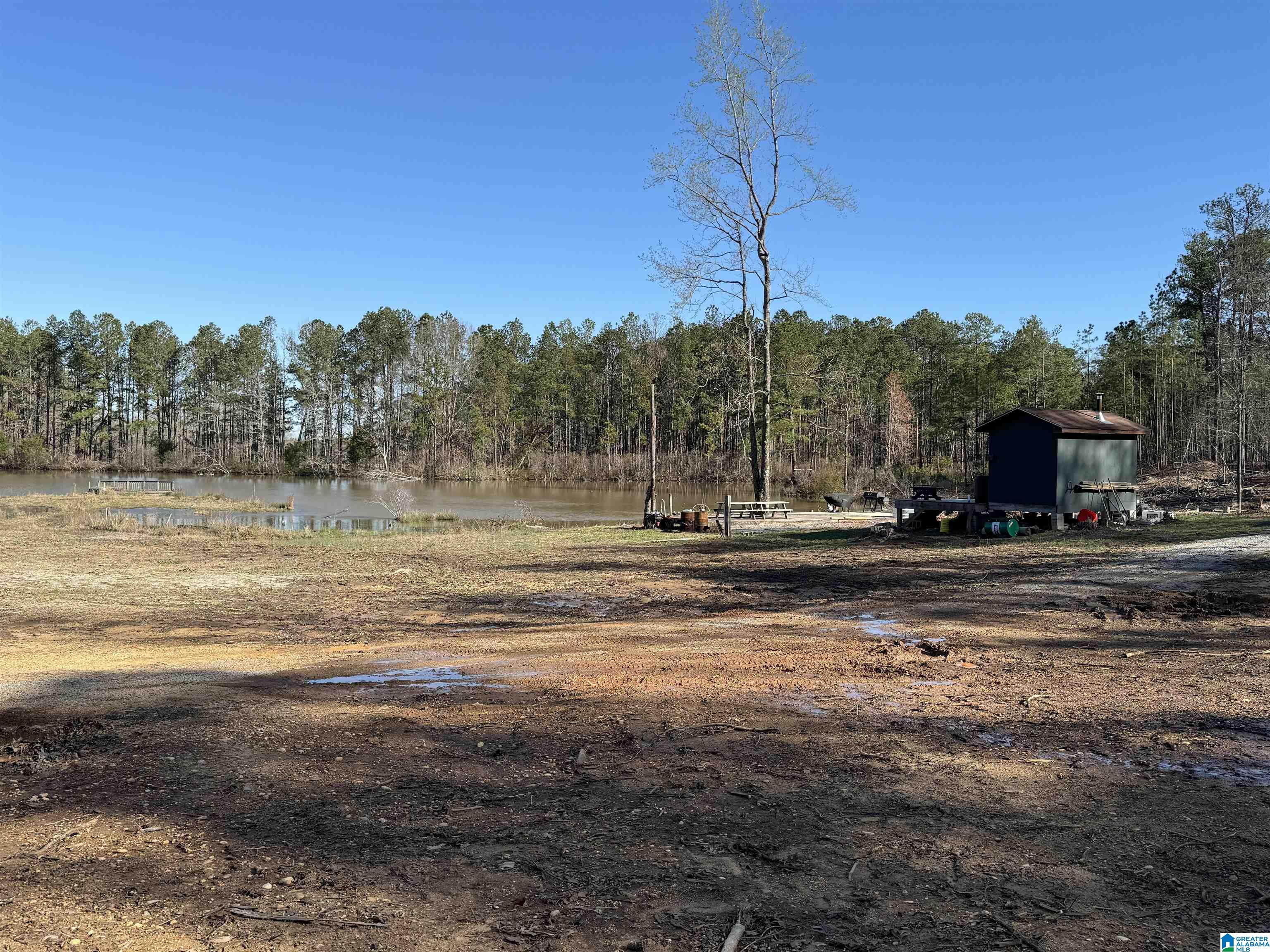 1080 County Road 46, Unit 1 Montevallo, AL 35115 - Photo 8 of 13