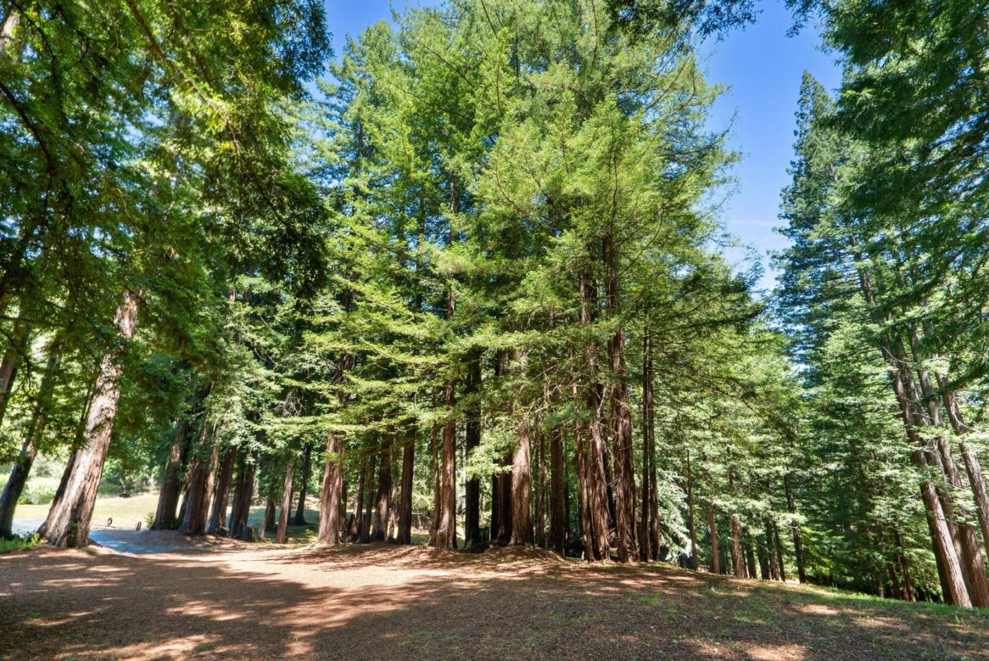 2800 Lockhart Gulch Road Scotts Valley, CA 95066 - Photo 115 of 142