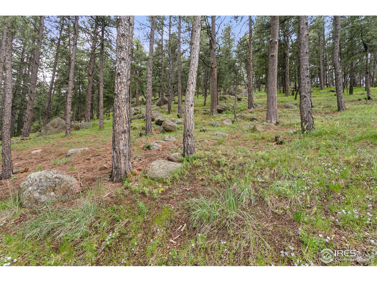 1307 Timber Lane Boulder, CO 80304 - Photo 40 of 40