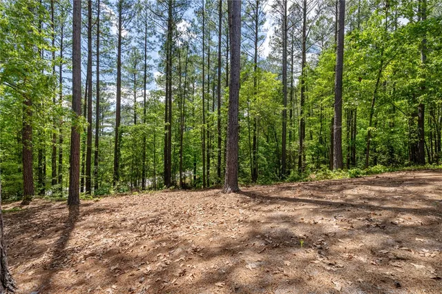 $1,195,685 | 113 Settlement Village Drive, Sunset, SC 29685