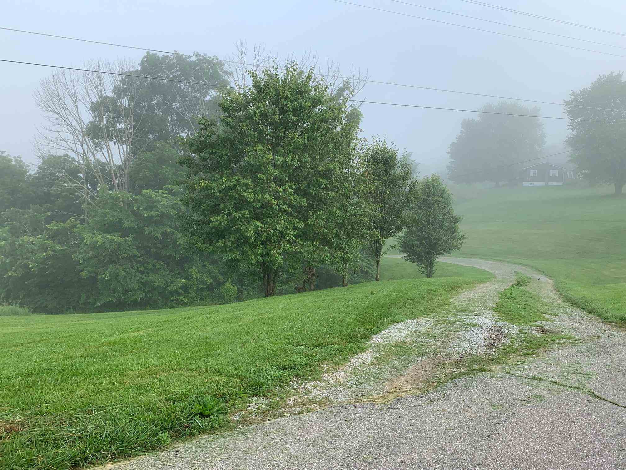 4280 Lemon Northcutt Road Dry Ridge, KY 41035 - Photo 40 of 50