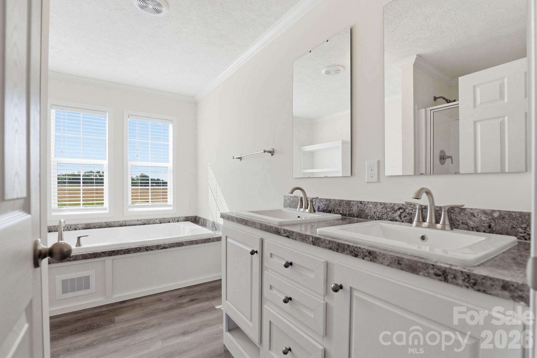 197 Burleson Point Woodleaf, NC 27054 - Photo 14 of 30 a bathroom with a granite countertop sink and a large mirror