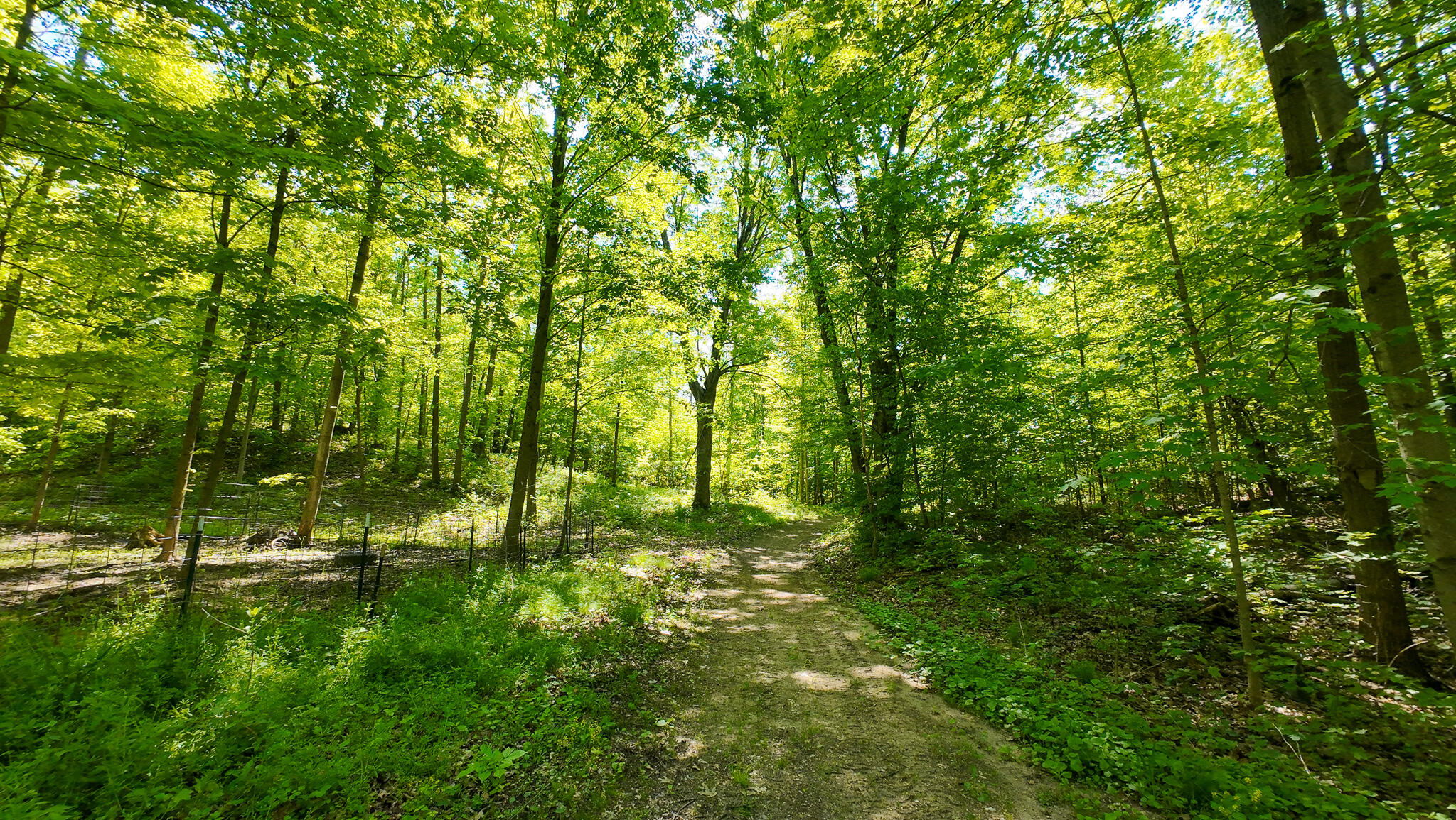 4196 West 4 Mile Road White Cloud, MI 49349 - Photo 43 of 65 DJI_20260527113405_0063_D