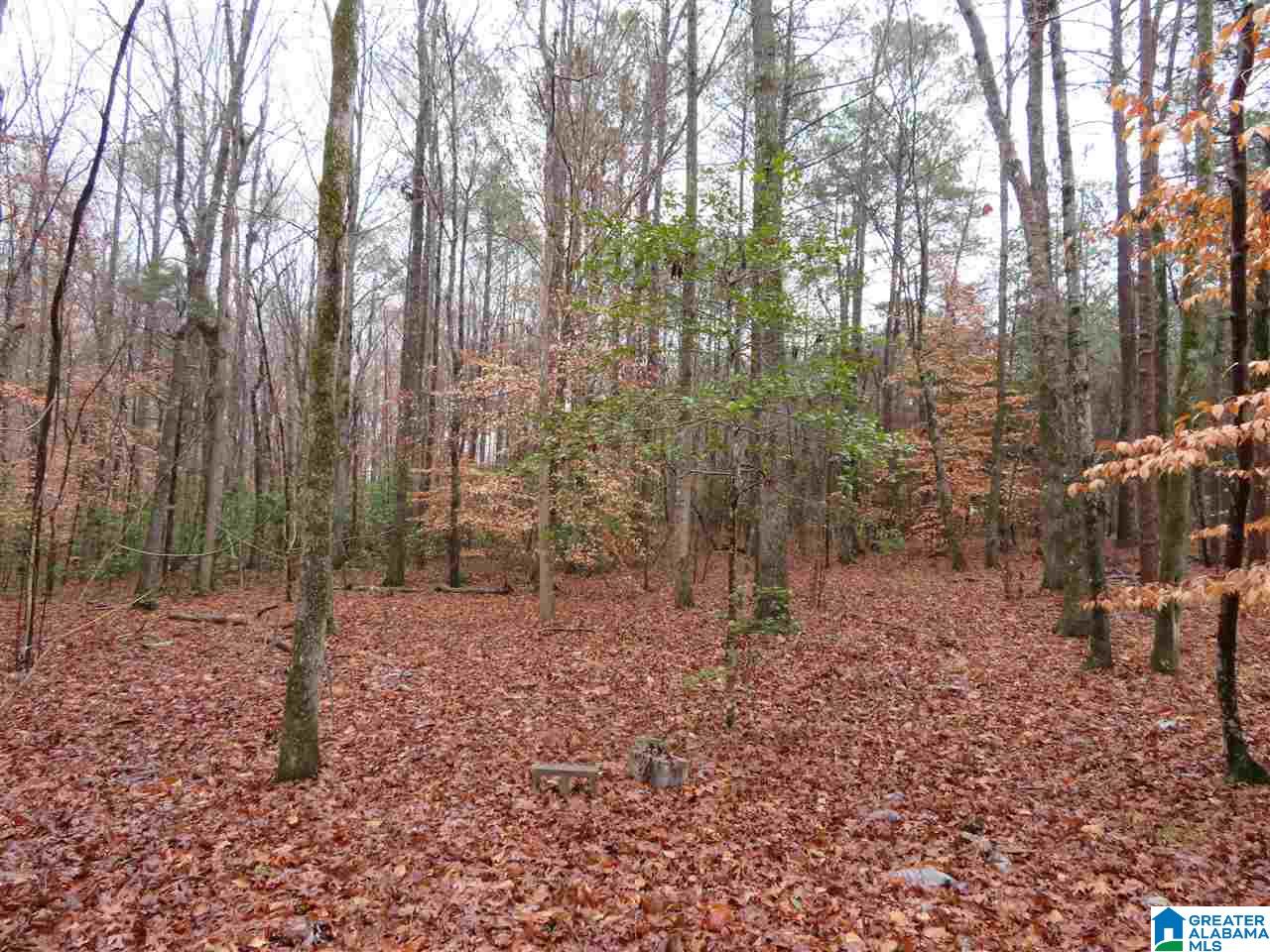 138 Cedar Grove Road West Blocton, AL 35184 - Photo 22 of 44