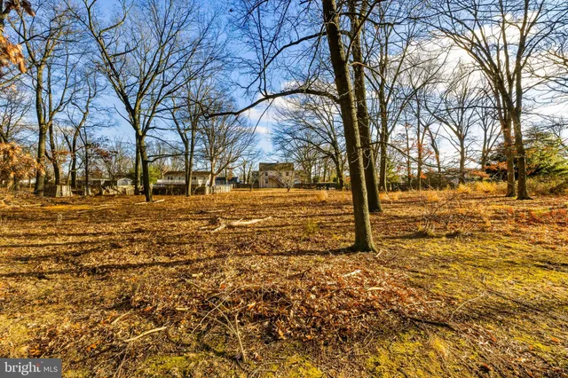 a view of yard with trees