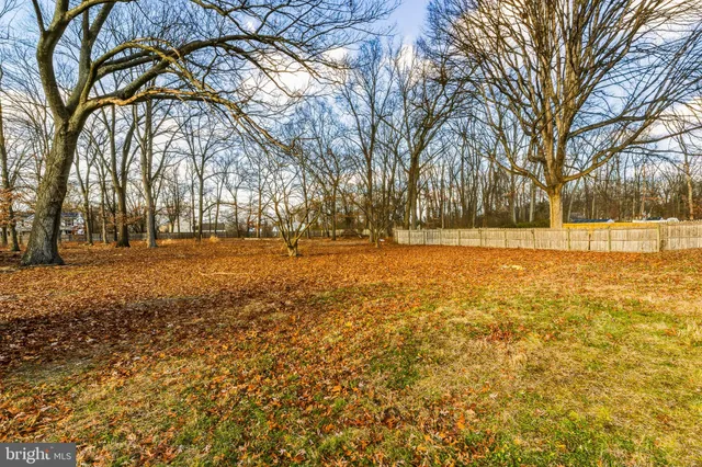 a view of yard with trees