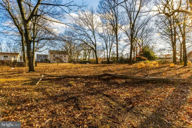 a view of dirt yard with large trees