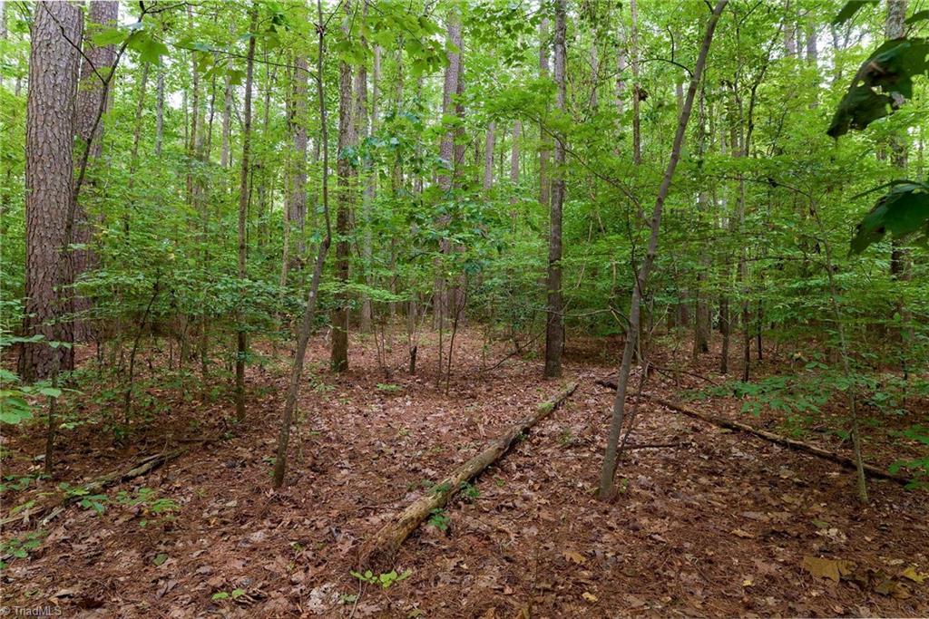 Lot 12 Beckner Road Lexington, NC 27292 - Photo 3 of 11 Gallery Image 3