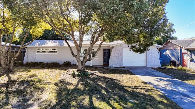 a view of a yard with a large tree