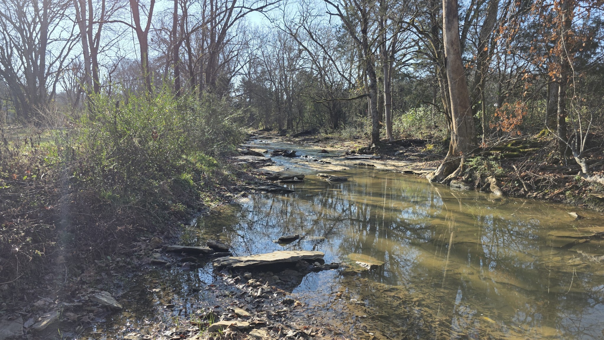 3931 Taylors Store Road Hampshire, TN 38461 - Photo 41 of 44