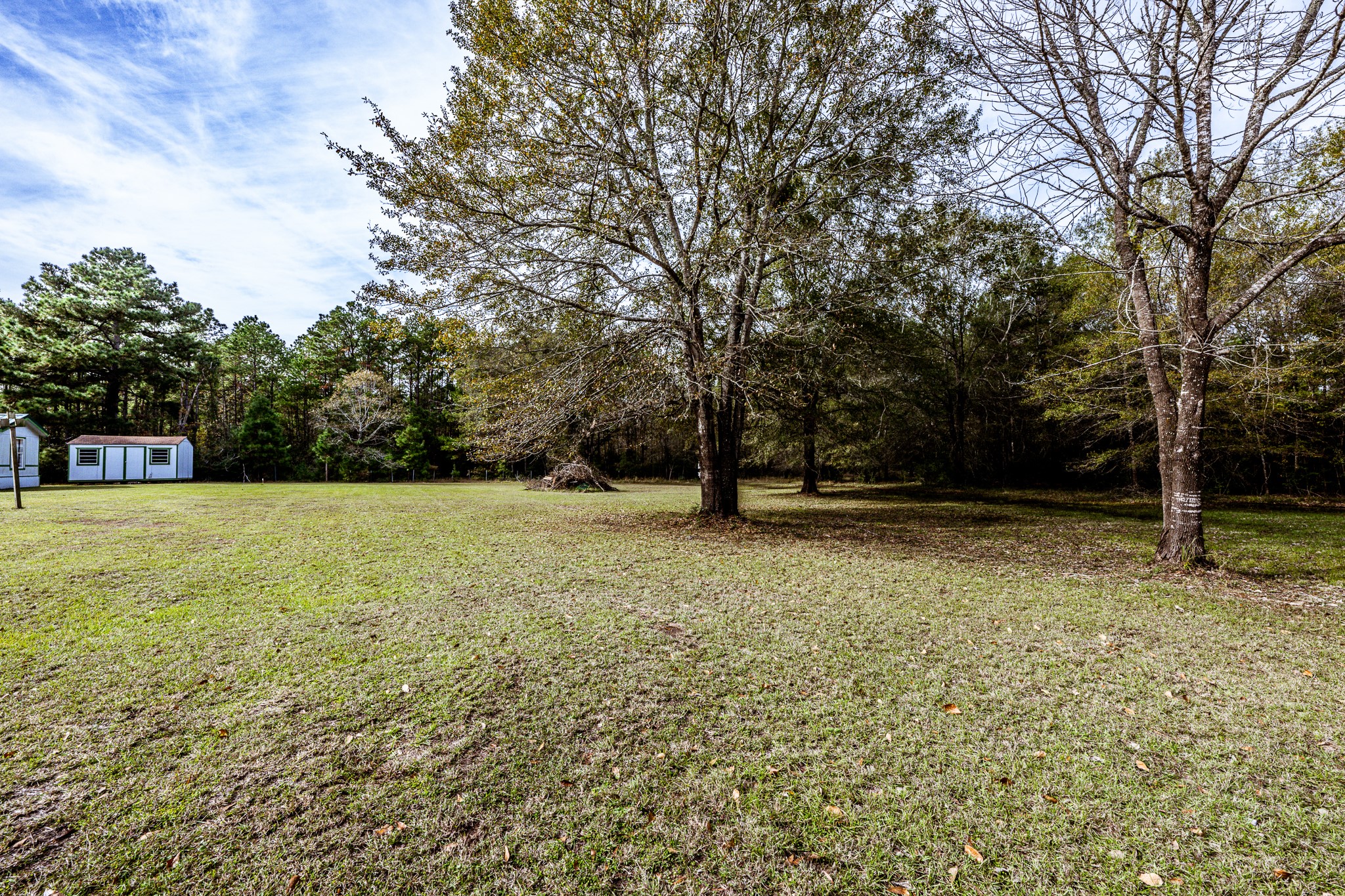 400 Marina Drive Trinity, TX 75862 - Photo 23 of 25 a view of outdoor space with garden