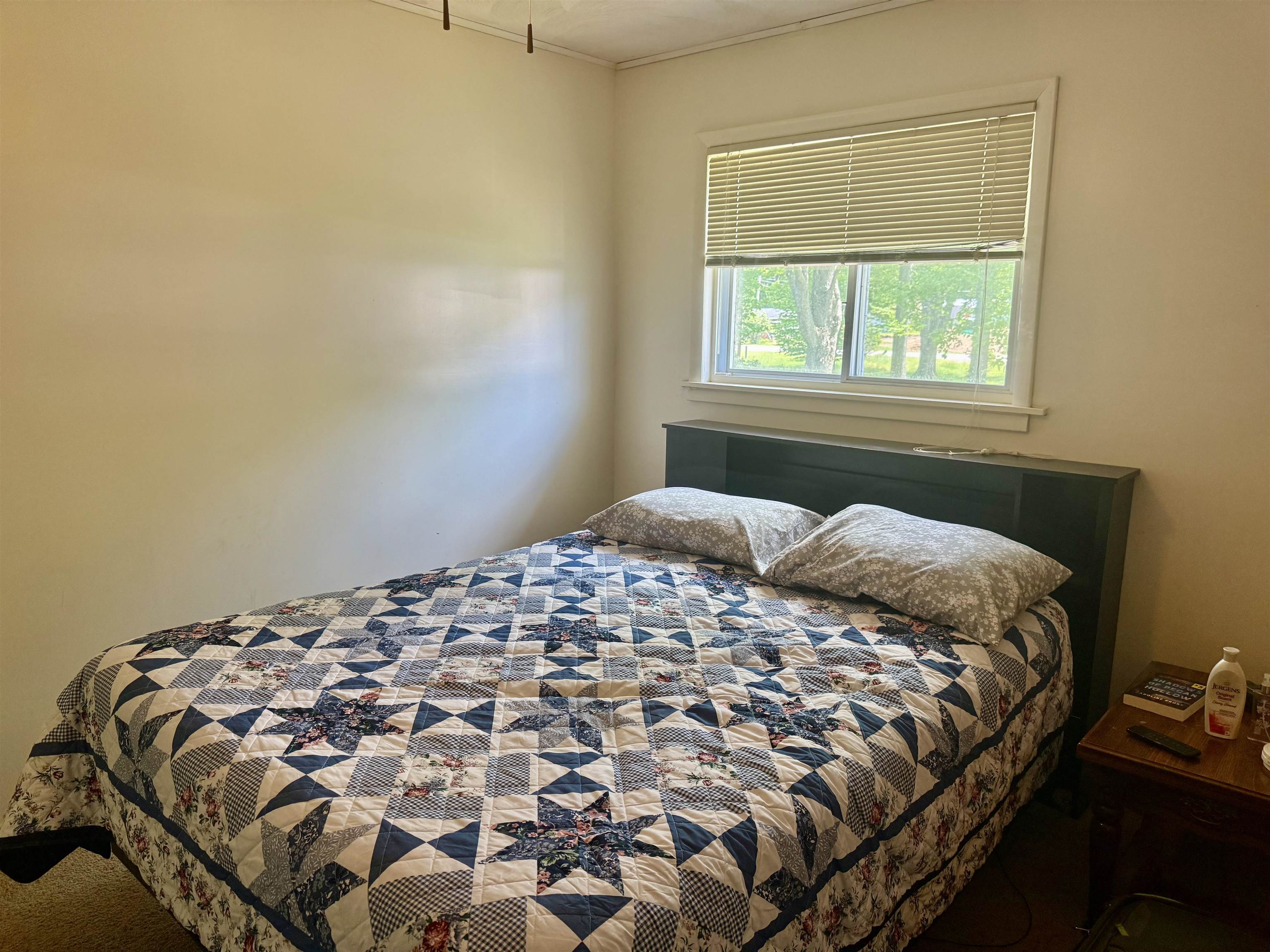 9463 East Colby Road Crystal, MI 48818 - Photo 13 of 31