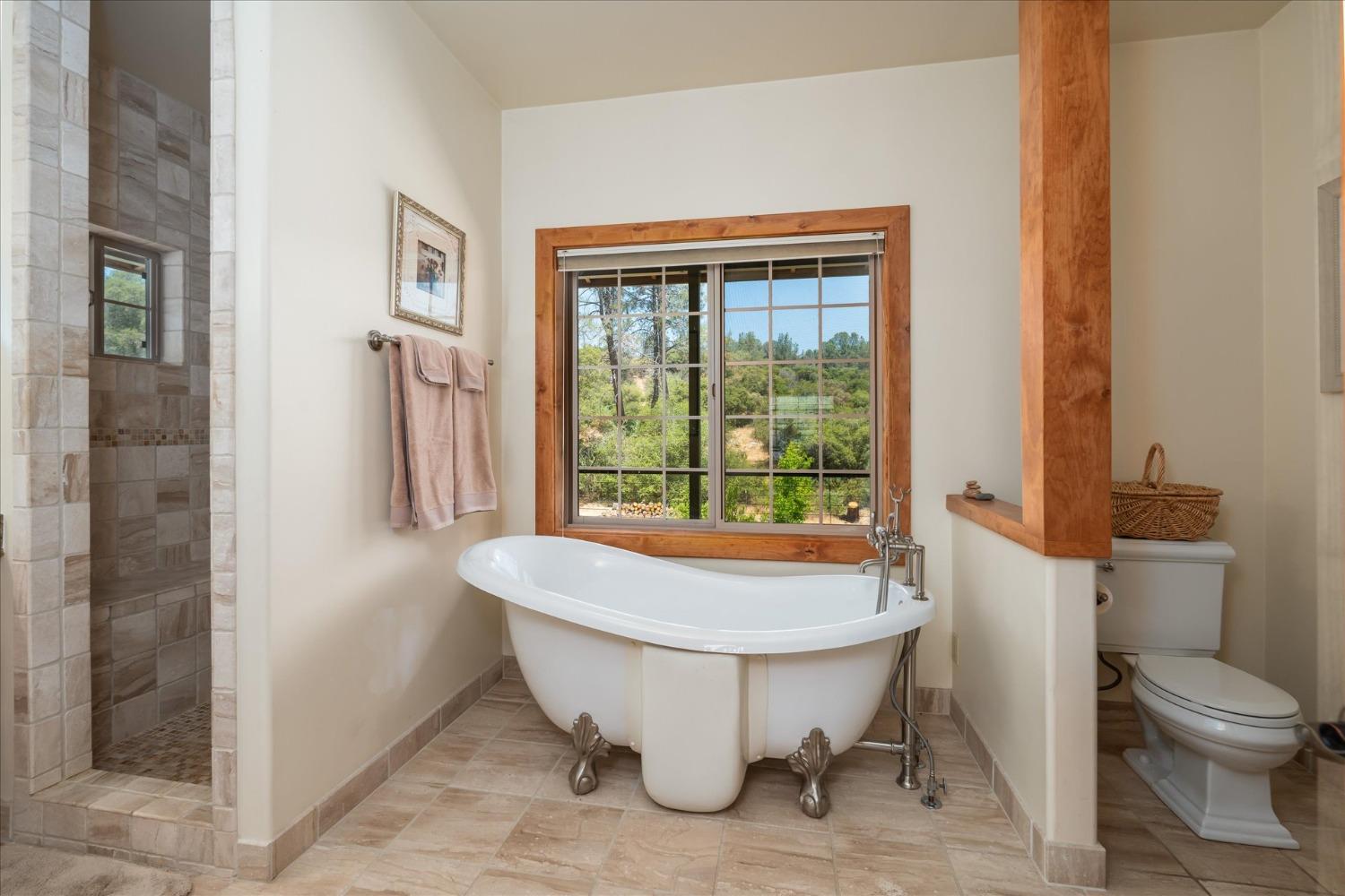 29751 Flying O Ranch Road Coarsegold, CA 93614 - Photo 21 of 78 Gallery Image 21