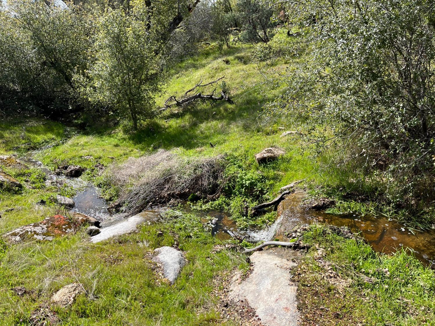 29751 Flying O Ranch Road Coarsegold, CA 93614 - Photo 33 of 78 Seasonal Stream
