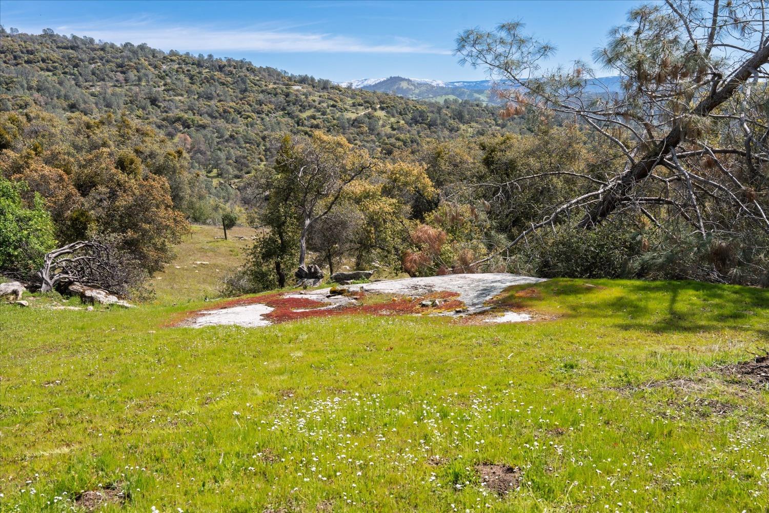 29751 Flying O Ranch Road Coarsegold, CA 93614 - Photo 72 of 78 Gallery Image 72