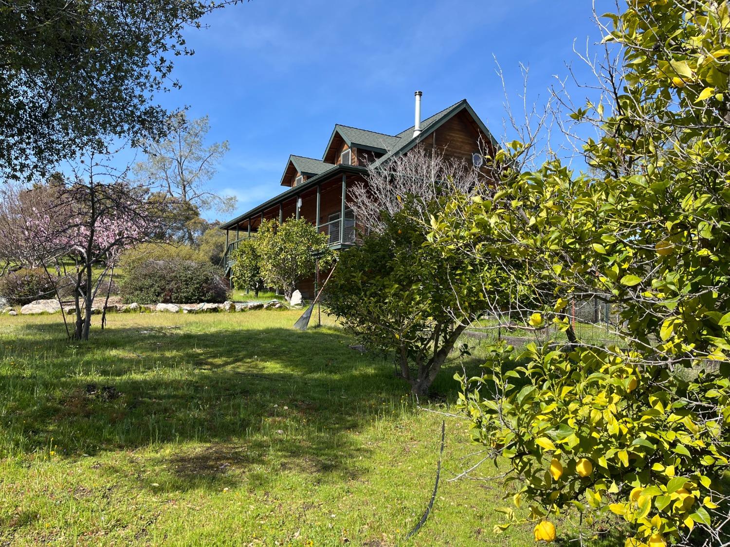 29751 Flying O Ranch Road Coarsegold, CA 93614 - Photo 73 of 78 Lots of Fruit Trees