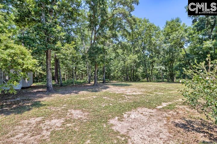 1613 Fulmer Road Blythewood, SC 29016 - Photo 35 of 38