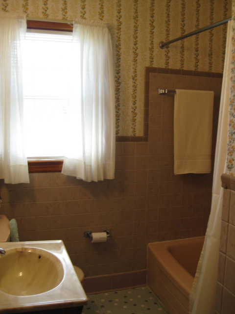 4656 Elva Road Northwest Roanoke, VA 24017 - Photo 6 of 10 a bathroom with a sink a window and tub