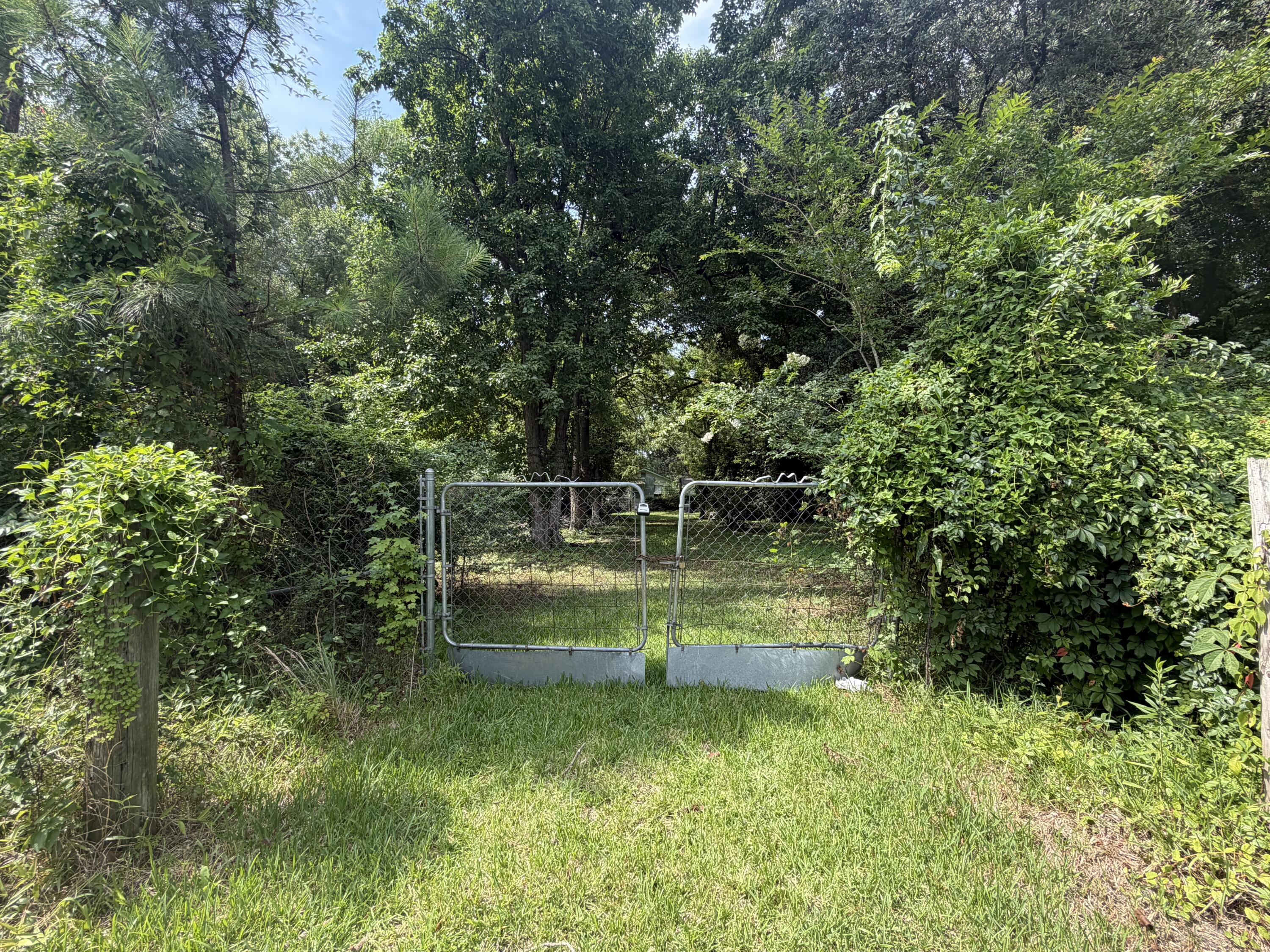 107 Lockhart Street Walterboro, SC 29488 - Photo 1 of 21 IMG_4973