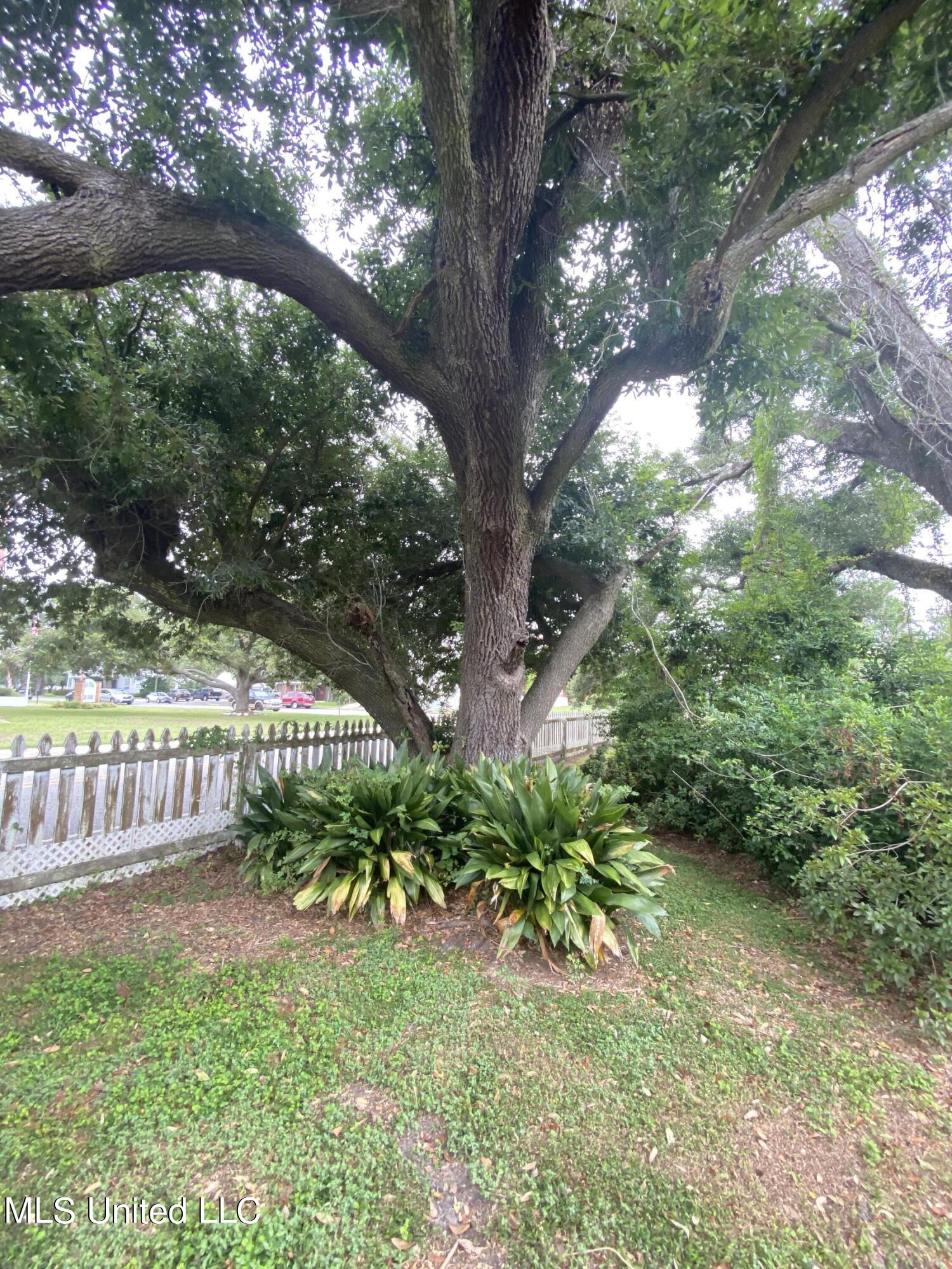 3618 Bellview Avenue Moss Point, MS 39563 - Photo 74 of 89 IMG_3108