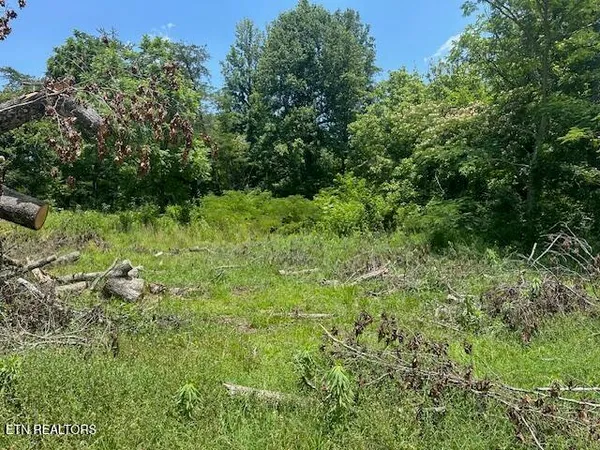 $79,000 | 6137 Hwy 840 Wallins Key, Wallins Creek, KY 40873