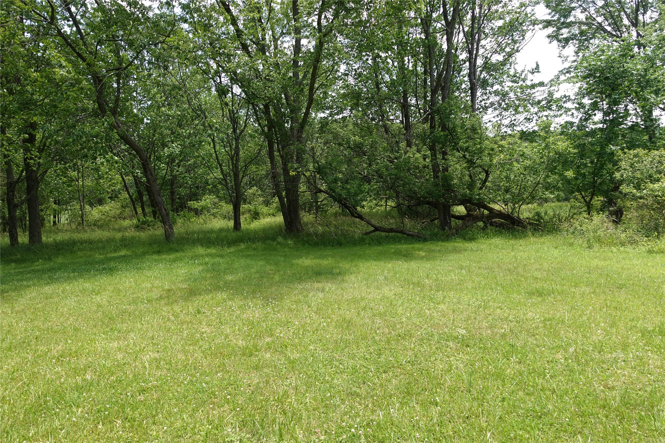 328 Pierce Hill Road Vestal, NY 13850 - Photo 36 of 39