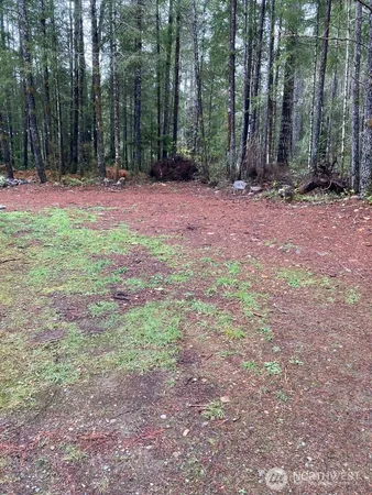 a view of outdoor space with trees