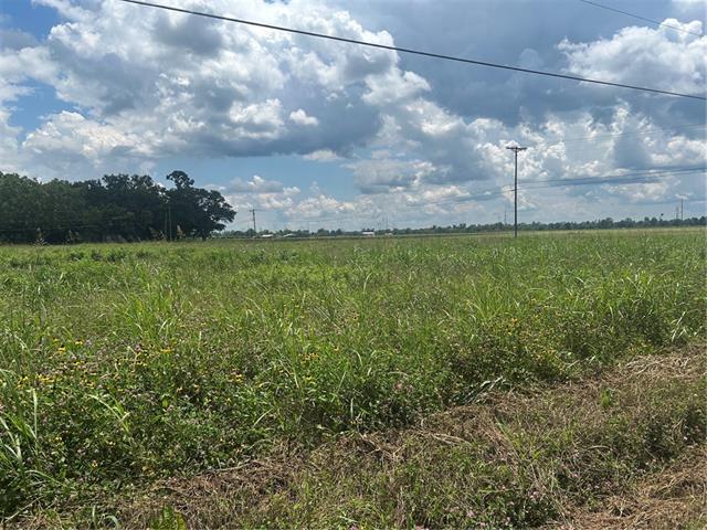 Lot 1 School House Road Alexandria, LA 71303 - Photo 5 of 5