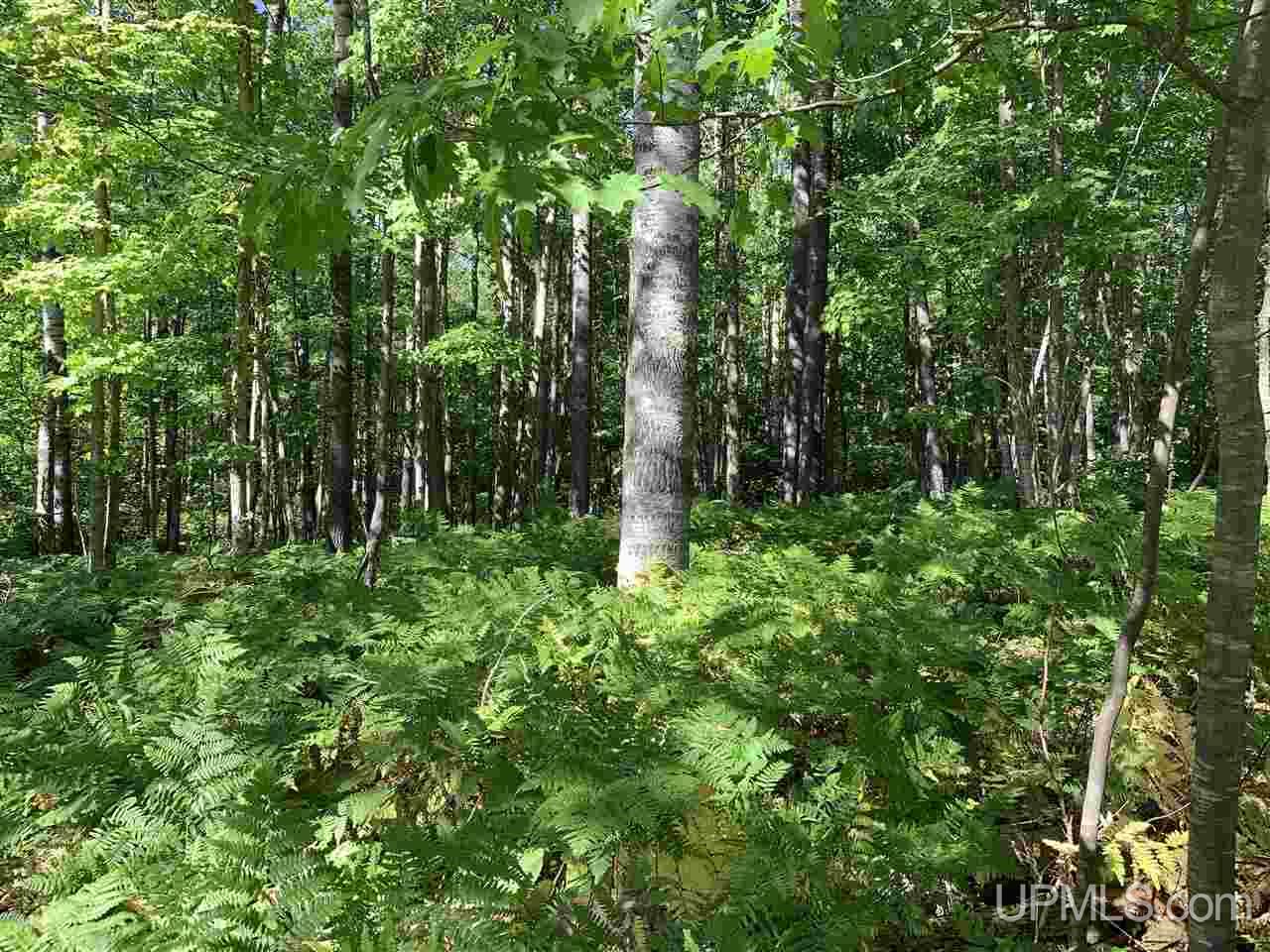6 Indian Cemetery Road Lanse, MI 49946 - Photo 8 of 16