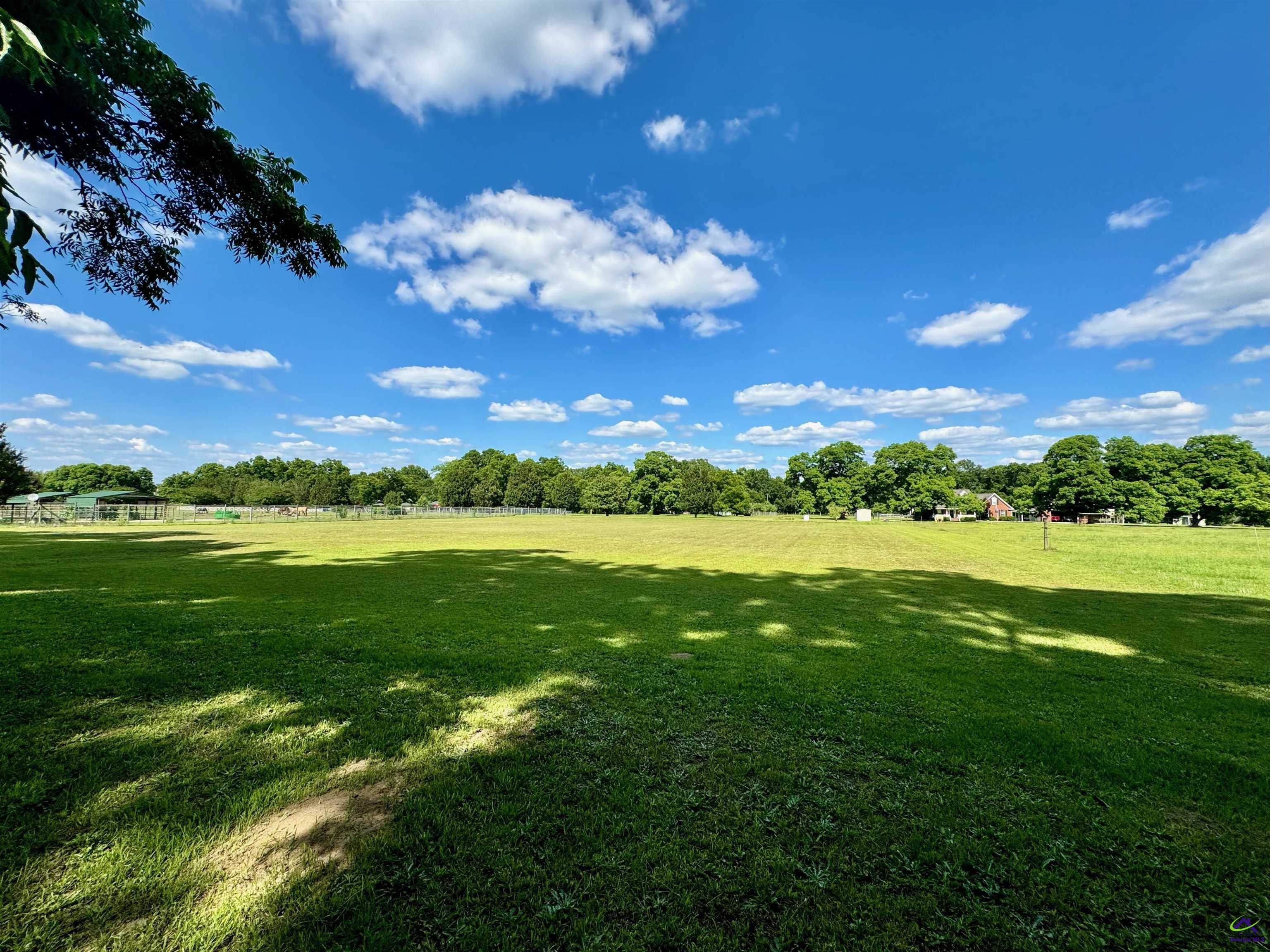 2.75 Acres Jones Road Byron, GA 31008 - Photo 2 of 5