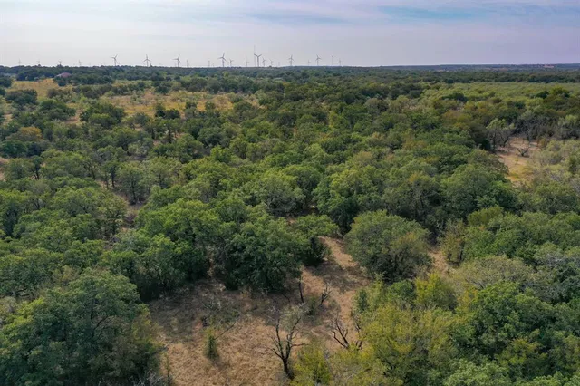 an aerial view of forest