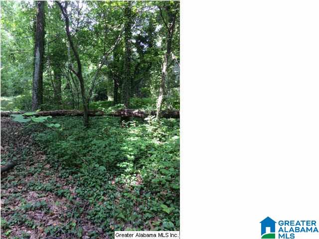 4272 Old Leeds Road Birmingham, AL 35213 - Photo 4 of 8