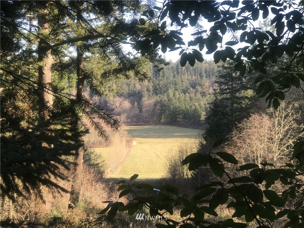 101 Rugged Road Orcas Island, WA 98245 - Photo 18 of 21 Gallery Image 18