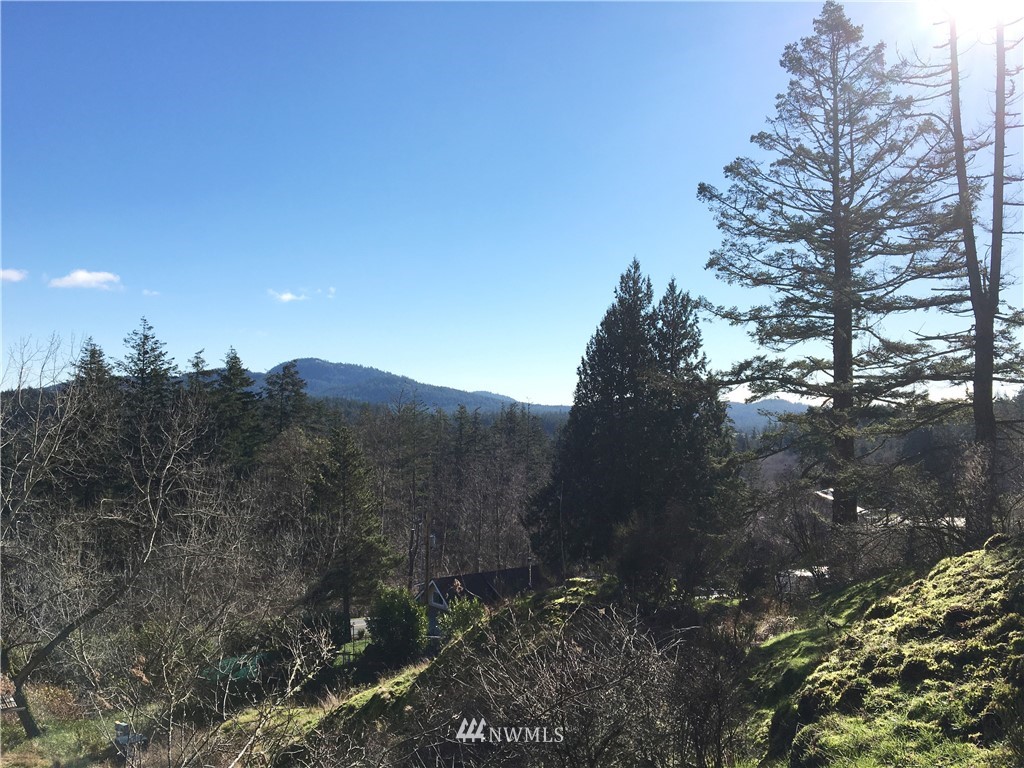 101 Rugged Road Orcas Island, WA 98245 - Photo 21 of 21 Gallery Image 21