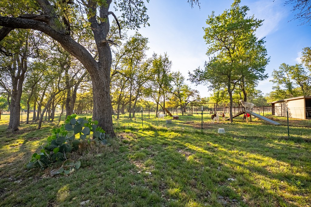 2873 Ranch Road Fredericksburg, TX 78624 - Photo 7 of 58