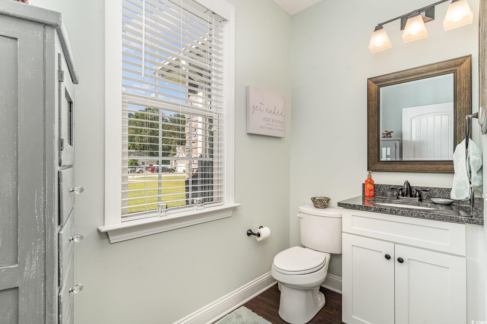 4204 Ridgewood Drive Conway, SC 29526 - Photo 15 of 38 Bathroom featuring wood-type flooring, vanity, and