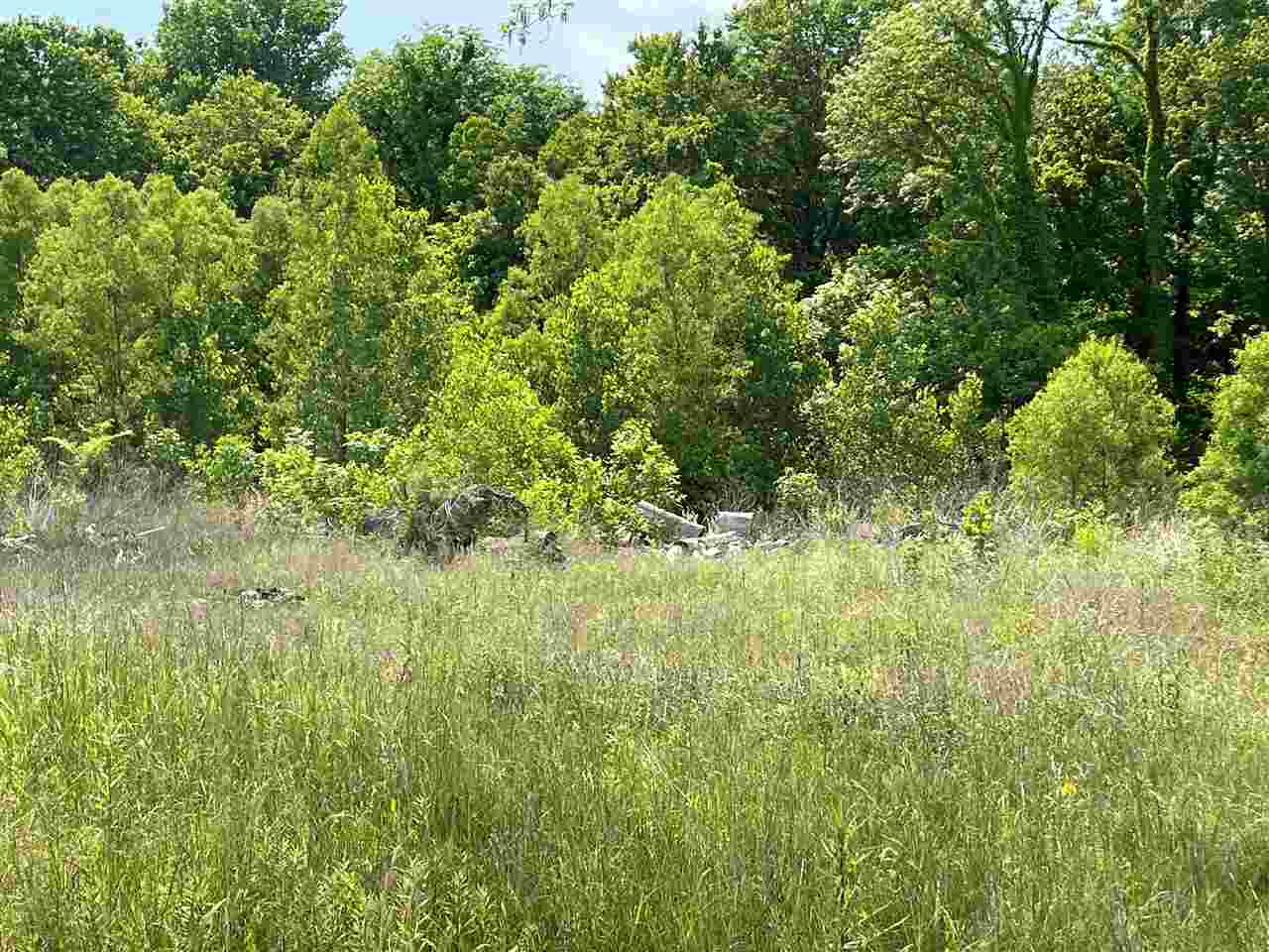 5525 Old Millington Road Memphis, TN 38127 - Photo 1 of 1 Gallery Image 1