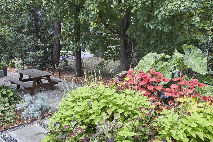 2620 Fairview Road Raleigh, NC 27608 - Photo 28 of 31 a garden with lots of trees