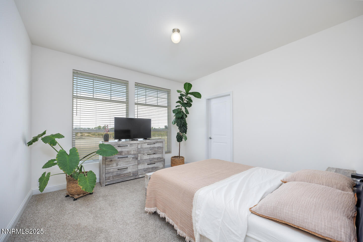 5944 Dillon Drive Fallon, NV 89406 - Photo 9 of 18 9
