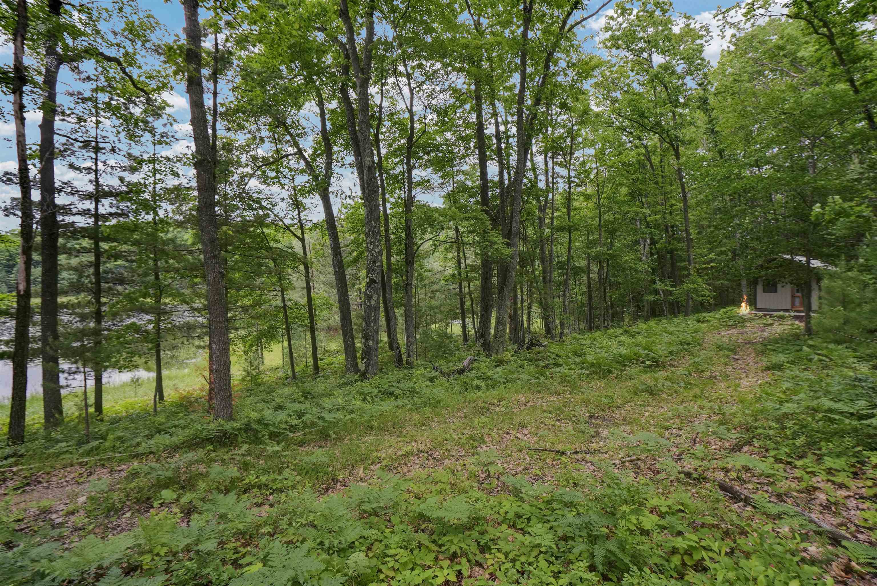 East Long Lake Road Cadillac, MI 49601 - Photo 9 of 23
